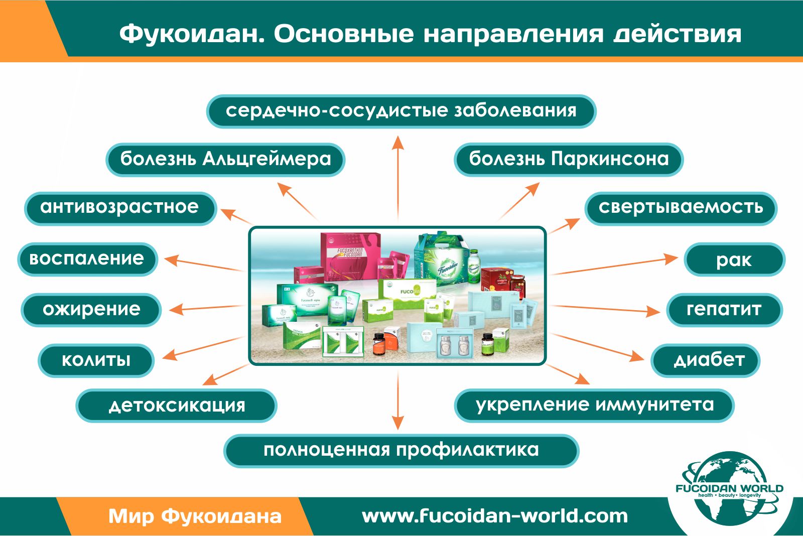 Фукоидан. Основные направления действия